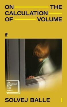 On the Calculation of Volume I - Solvej Balle