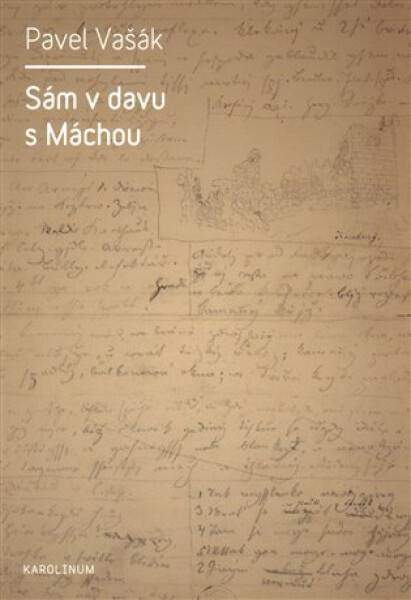 Sám v davu s Máchou - Pavel Vašák