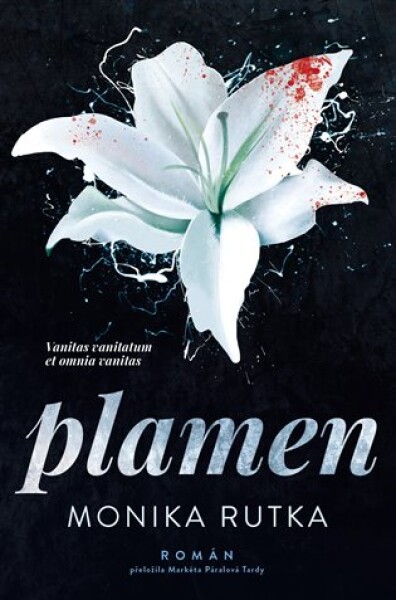 Plamen