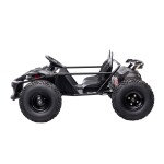 Mamido Elektrické autíčko Buggy 48V 800W GENERAL 63 černé