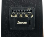 Ibanez VC44CE Weathered Black