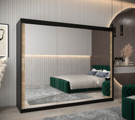Šatní skříň Abi T3 Barva korpusu: Černá, Rozměry: 250 cm, Dveře: Dub sonoma