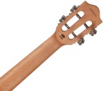 Flight IRIS TINTA CONCERT NA