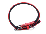 Pasco kožený obojek pro psa | 24 - 43 cm Barva: Oranžová, Obvod krku: 34 - 43 cm, Šířka: 2,5 cm