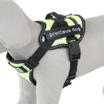 Precious žlutý postroj pro psa | 54 – 95 cm Barva: Žlutá, Obvod hrudníku: 54 - 62 cm