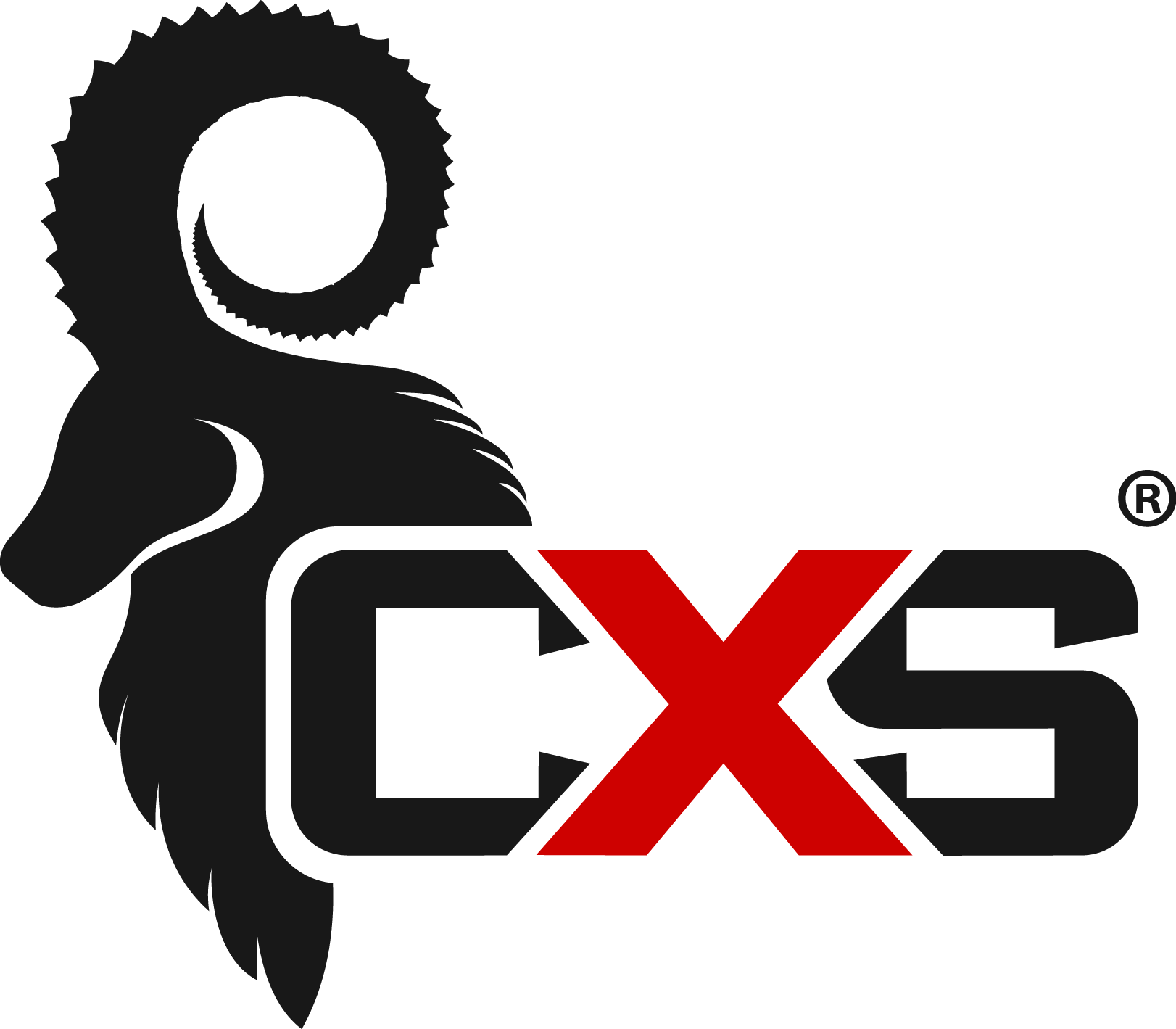 CXS