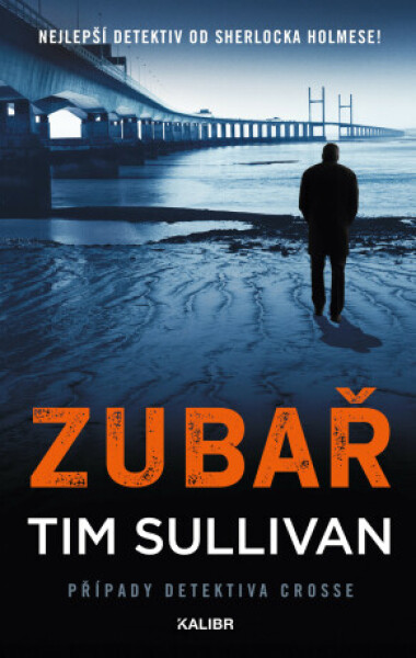 Zubař - Tim Sullivan - e-kniha