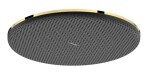 HANSGROHE - Raindance Alive S Hlavová sprcha, průměr 30 cm, EcoSmart+, leštěný vzhled zlata 24523990