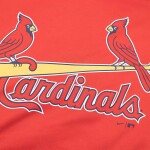 Nike Pánská mikina St. Louis Cardinals MLB Wordmark Therma Dri-FIT Hoodie Velikost: S