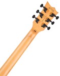 ESP LTD EC-200DX CHARCOAL BURST