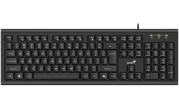 GENIUS KB-113 černá / Drátová klávesnice / Copilot / USB / CZ+SK layout (31300018403)