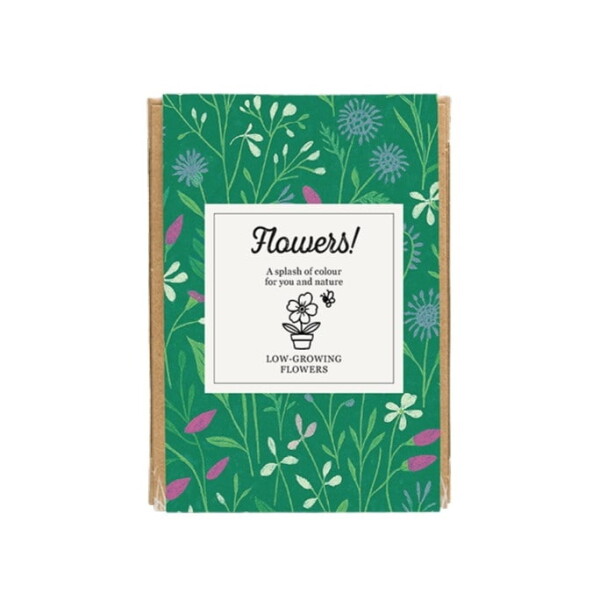 Blossombs Dárková sada divokých květin Flowers! – 4 ks, zelená barva, papír