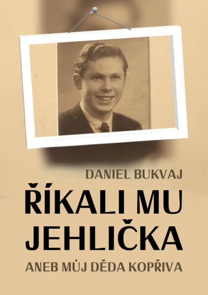 Říkali mu Jehlička - Daniel Bukvaj