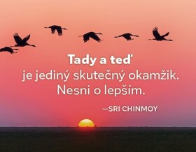 Magnet na lednici - Tady a teď je jediný skutečný okamžik. Nesmi o lepším. - Sri Chinmoy