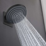 HANSGROHE - Pulsify S Hlavová sprcha 260 s připojením, 2 proudy, EcoSmart, matná černá 24151670