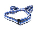 Britain modrý károvaný motýlek pro psa | 20 - 44 cm Barva: Modro-černá