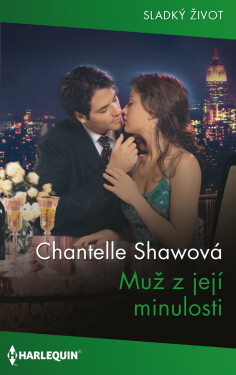 Muž z její minulosti - Chantelle Shawová