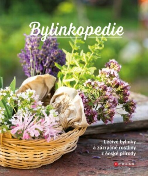 Bylinkopedie - e-kniha