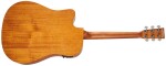 Tanglewood TR 5 CE