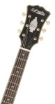 D'Angelico Excel DC Tour Collection Blue