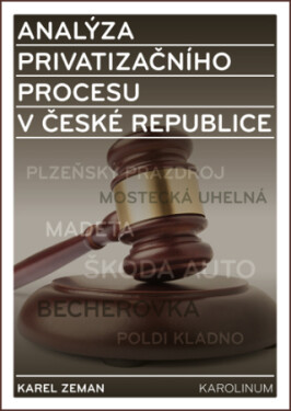 Analýza privatizačního procesu v České republice - Karel Zeman - e-kniha