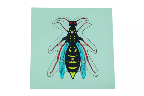 Moyo Montessori Moyo Montessori Puzzle - vosa