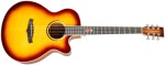 Tanglewood TWX4CE FM