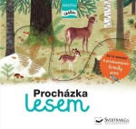 Procházka lesem následuj cestu