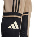 Kalhoty adidas Squadra 25 Training M JP3374 XL