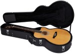 PRS SE Angelus AE50E Black Gold Sunburst