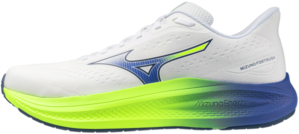 Běžecké boty Mizuno EQUATE 10 J1GC264801 Velikost obuvi v EU: 42