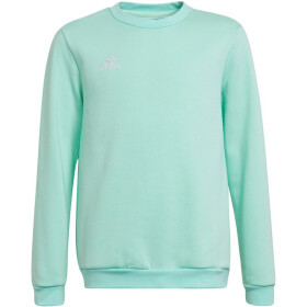 Dětská mikina Entrada 22 Sweat Top Jr Adidas