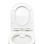 WC závěsné SAT Project včetně prkénka softclose, zadní odpad SATWCPRO010RREXP SATWCPRO010RREXP