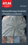 Zkamenělé stopy živočichů Čechách na Moravě Radek Mikuláš