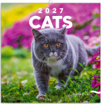Kalendář 2027 poznámkový: Kočky 2027, 30 x 30 cm