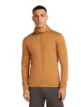 ICEBREAKER Mens 560 Realfleece Elemental II LS Zip Hood, Trail (vzorek) velikost: M