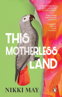 This Motherless Land - Nikki May