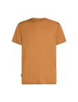 Pánské merino triko s krátkým rukávem ICEBREAKER Mens 125 Cool-Lite Sphere III SS Tee, Trail velikost: XXL