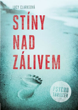 Stíny nad zálivem (poškozené) - Lucy Clarkeová