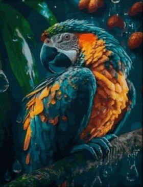 Diamantové malování Papoušek 30x40cm