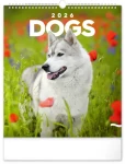 NOTIQUE Nástěnný kalendář Psi 2026, 30 x 34 cm (PGN-35226-L)