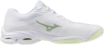 Volejbalová obuv Mizuno WAVE LIGHTNING PRO V1GC266085 Velikost obuvi v EU: 39