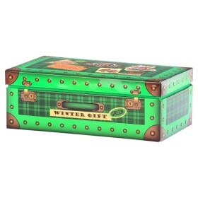 BASILUR Winter Gift Green přebal 20x1,5g