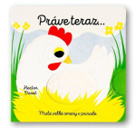 Práve teraz… - Hector Dexet