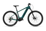 Kellys Tygon R50 P 2025