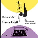 Losos kaluži Markéta Lukášková