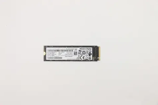 Lenovo 256GB / SSD / M.2 / PCIe 3.0 x4 / Interní (5SS0V26411)
