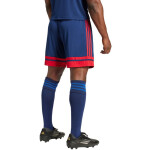 Šortky adidas Squadra 25 M JH3408 L
