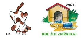 Kde žijí zvířátka?