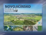 Novojičínsko z nebe - Milan Paprčka